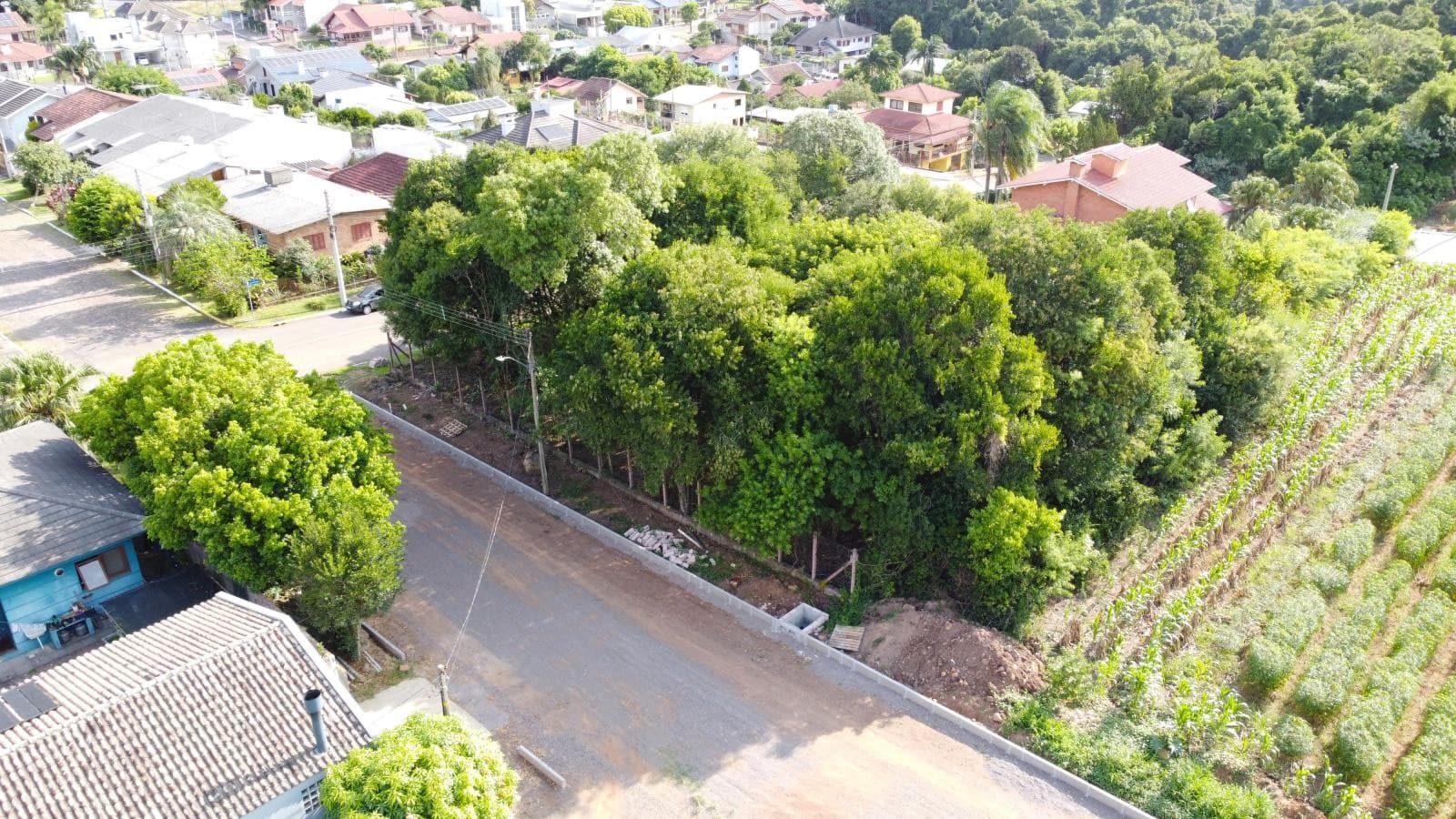 Próxima imagem
