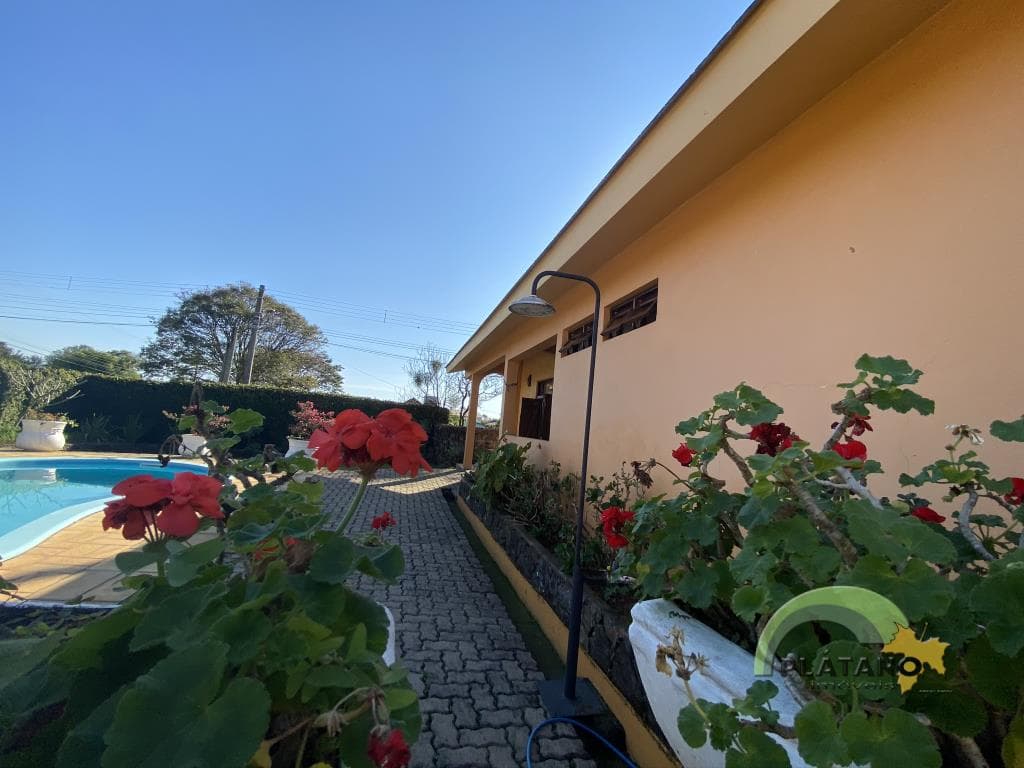 Próxima imagem