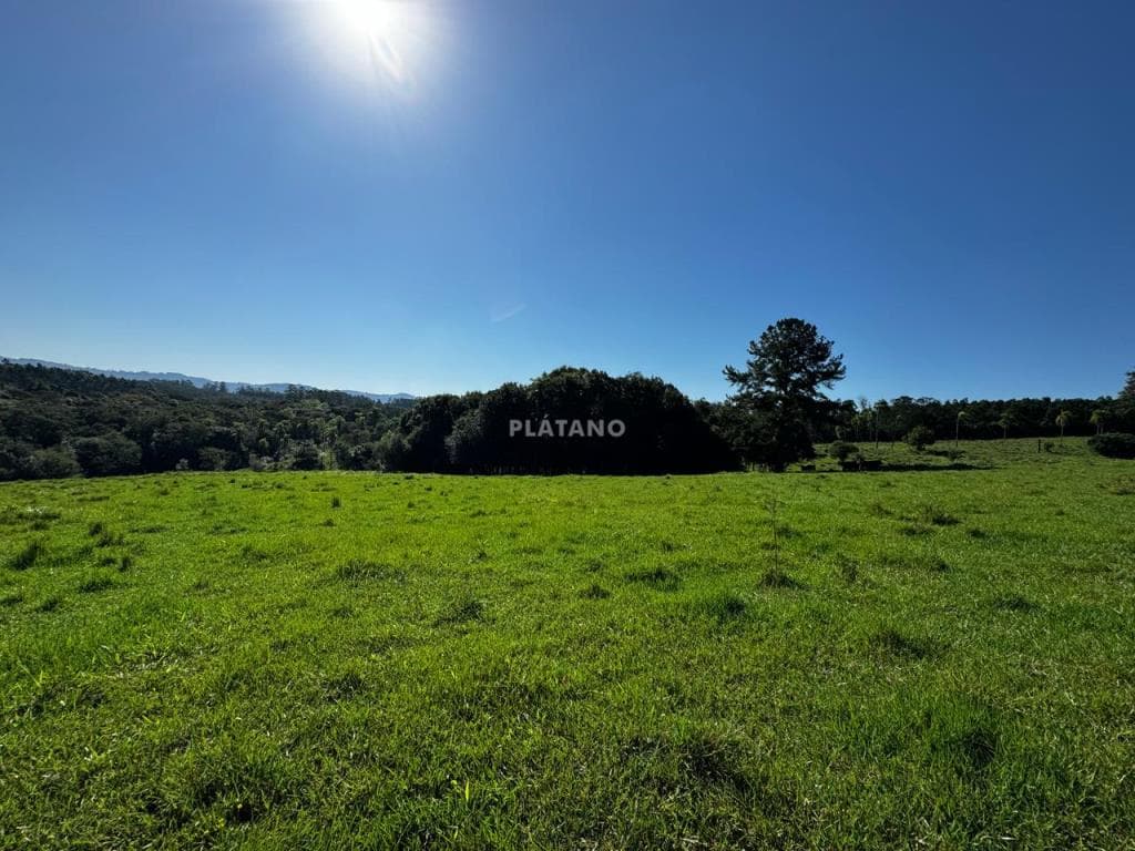 Próxima imagem