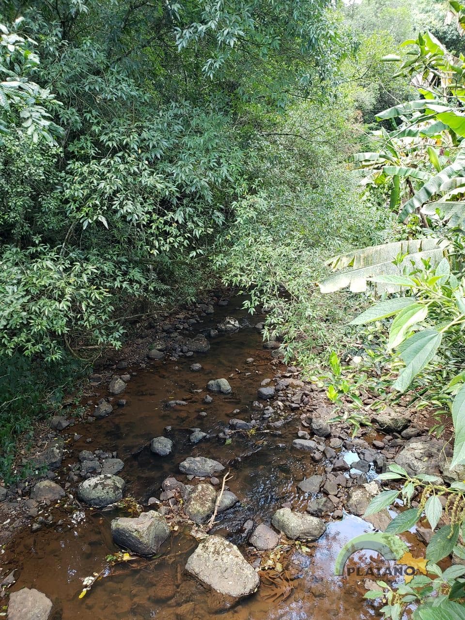 Próxima imagem
