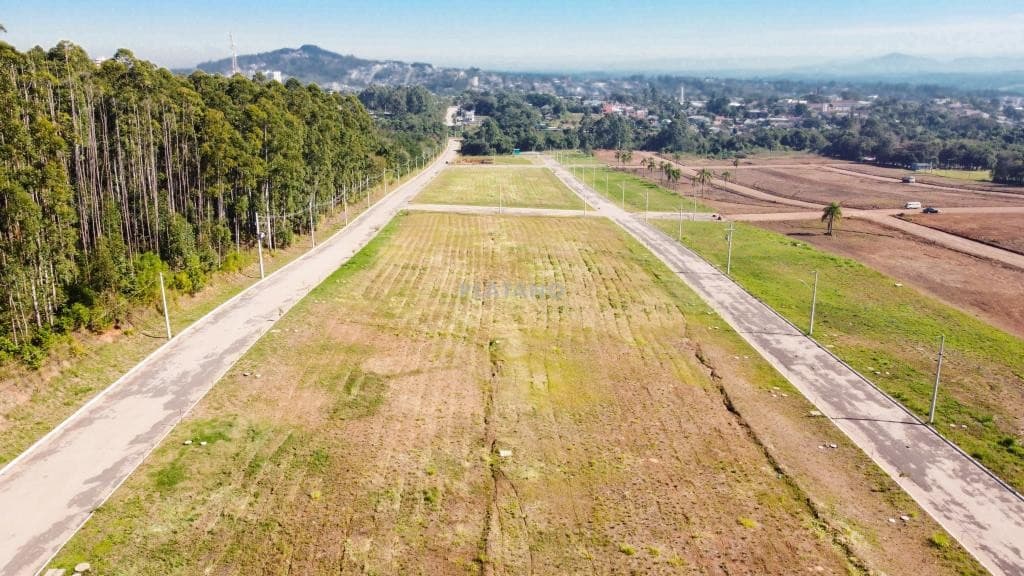 Próxima imagem