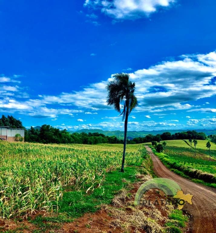 Imagem anterior