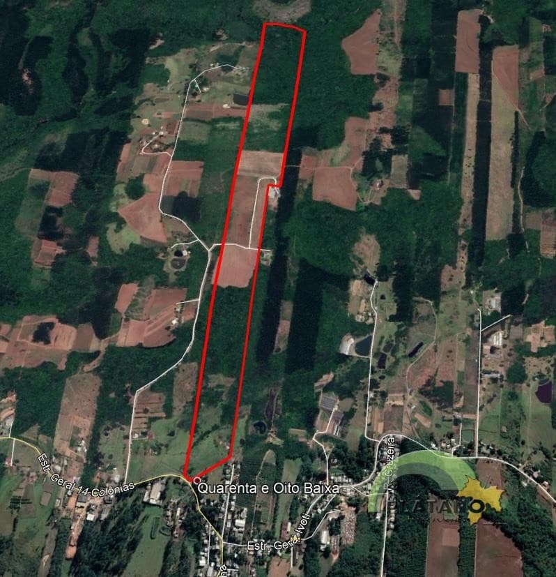 Próxima imagem
