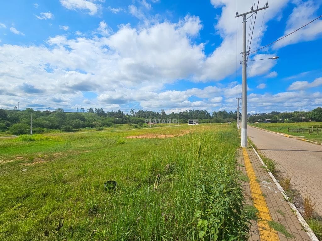 Imagem anterior