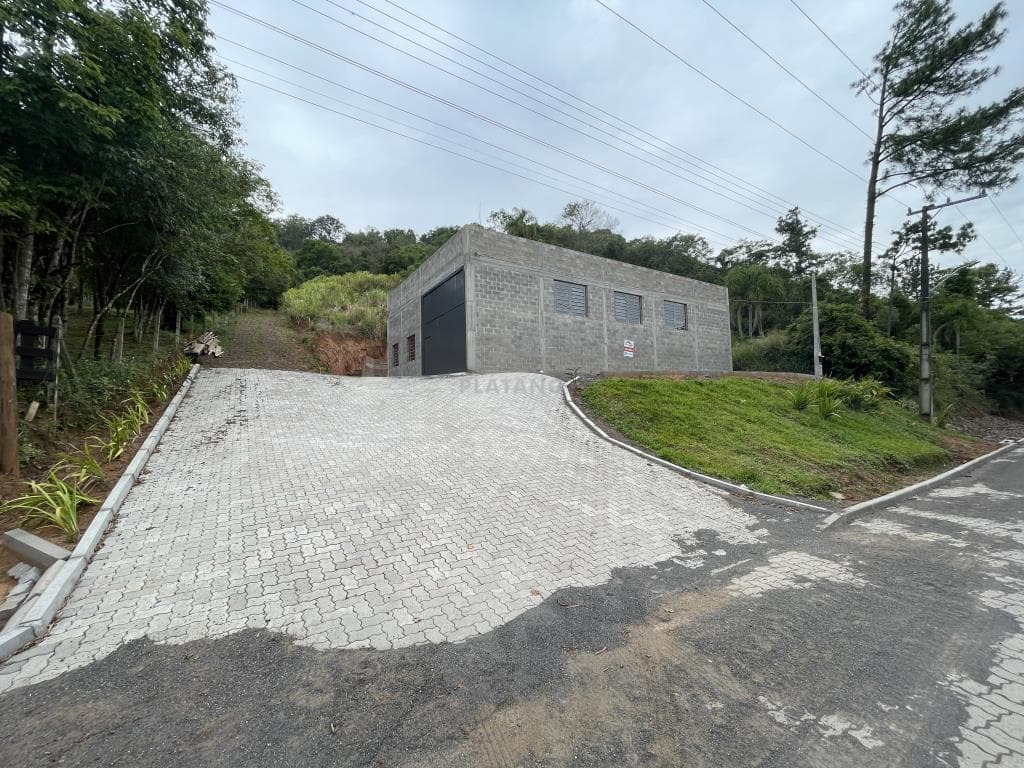 Próxima imagem