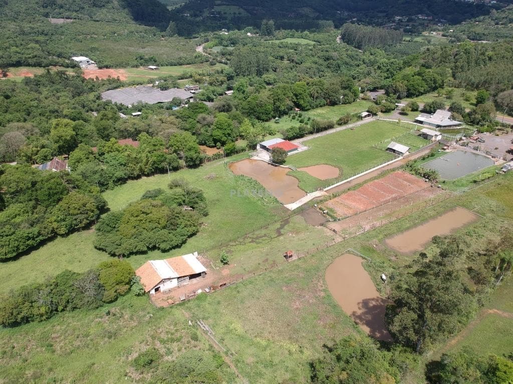 Próxima imagem