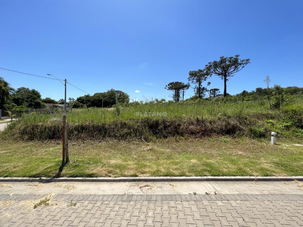 TERRENO, 471M² ÁREA PRIVATIVA À VENDA EM PALMARES - Imagem 2