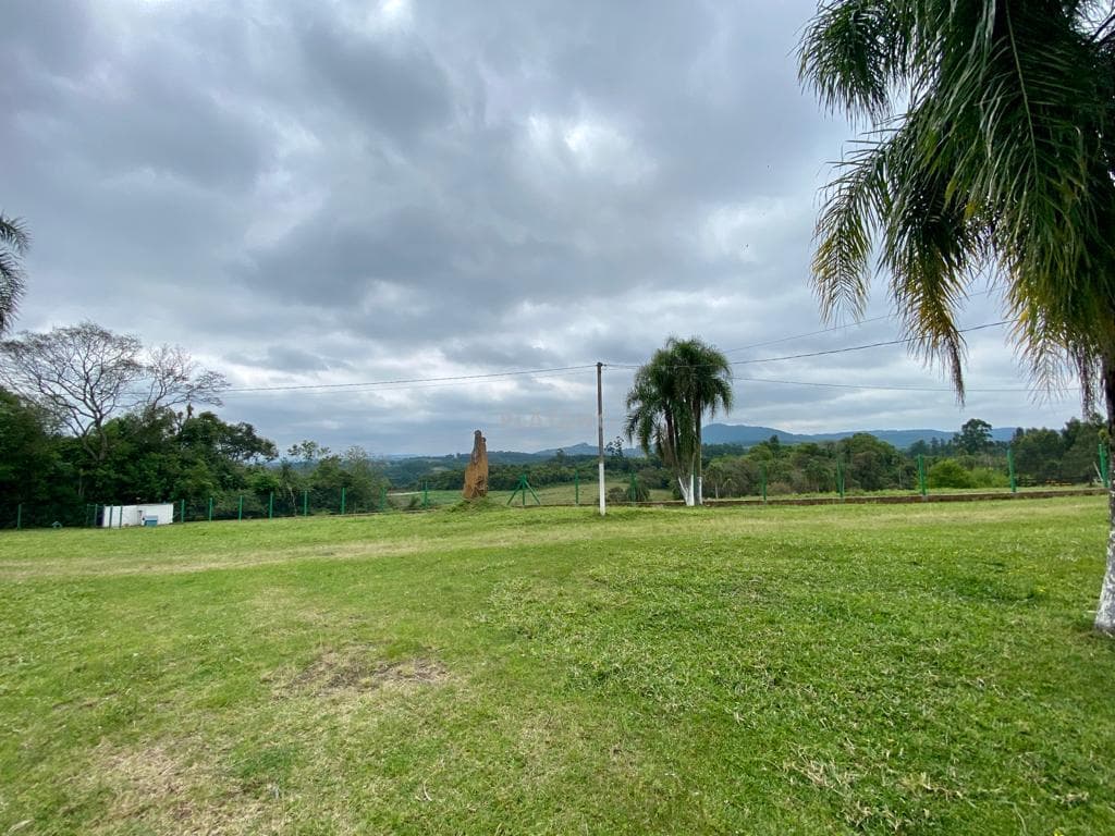 Próxima imagem