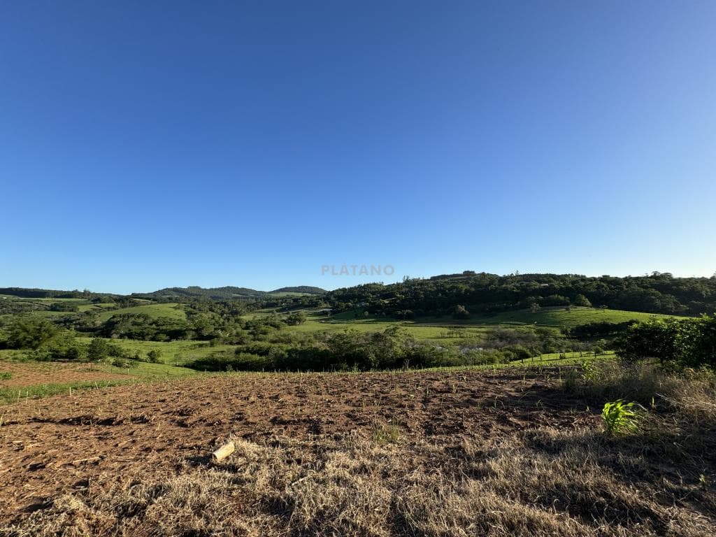 Imagem anterior