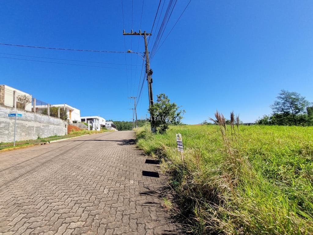 Próxima imagem
