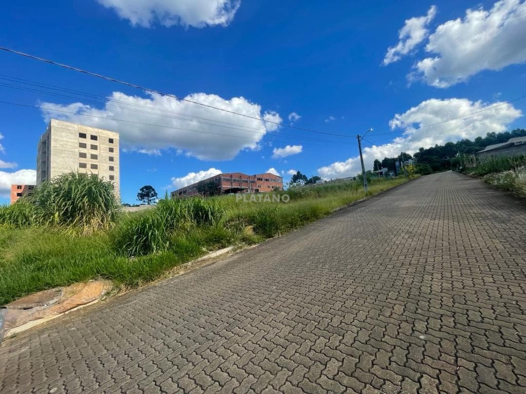 Terreno para Venda no Jardim Panorâmico em Ivoti - Imagem 3