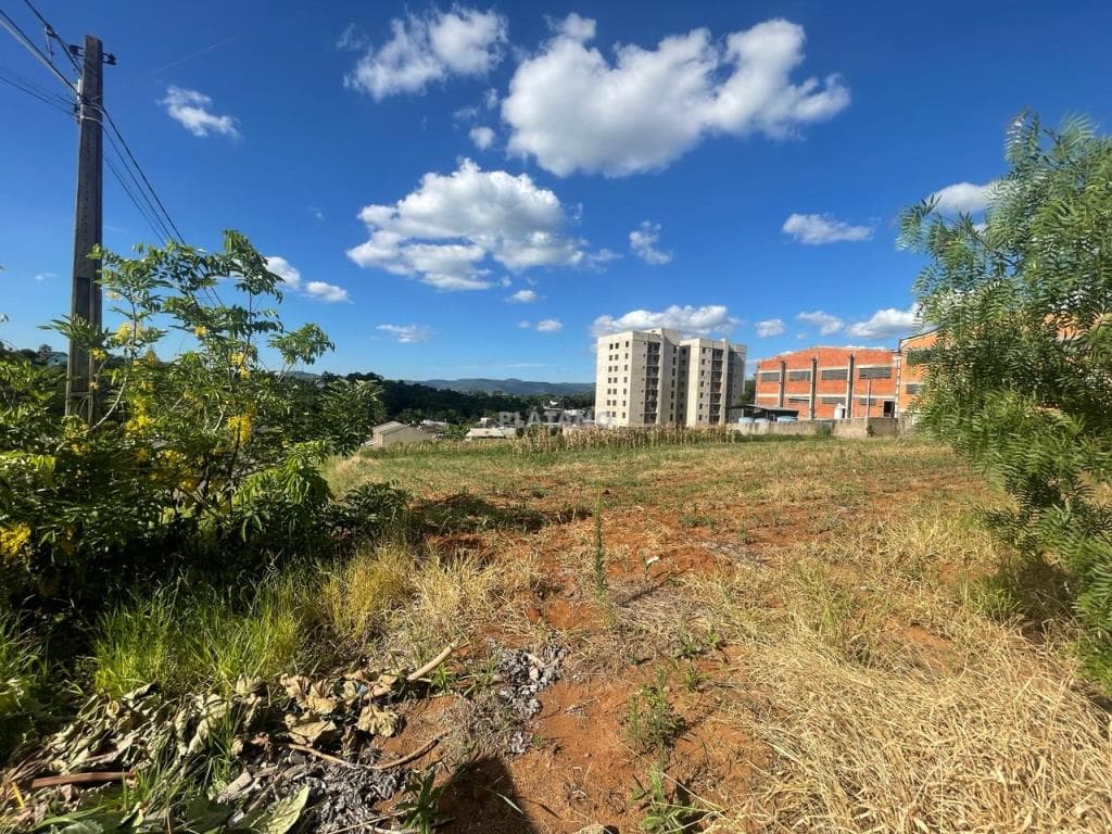 Terreno para Venda no Jardim Panorâmico em Ivoti - Imagem 4