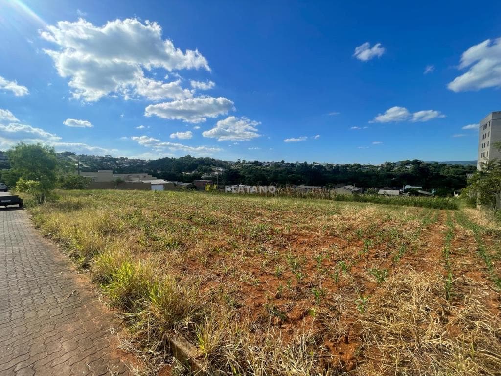 Terreno para Venda no Jardim Panorâmico em Ivoti - Imagem 5