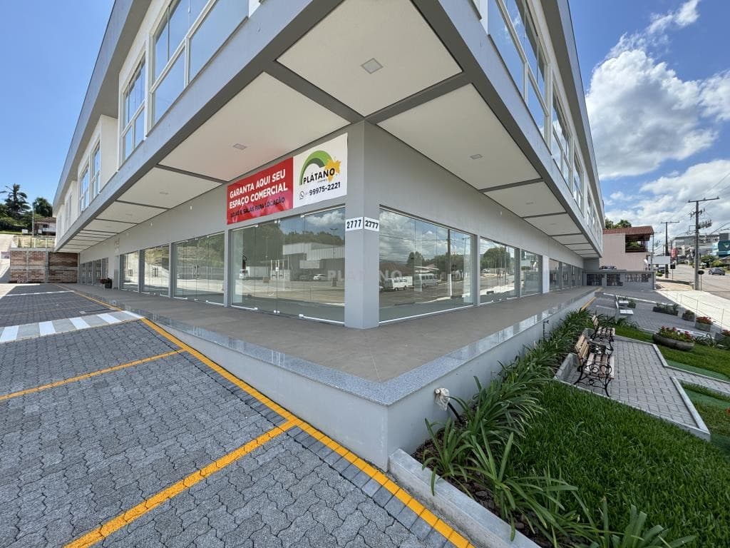 Próxima imagem