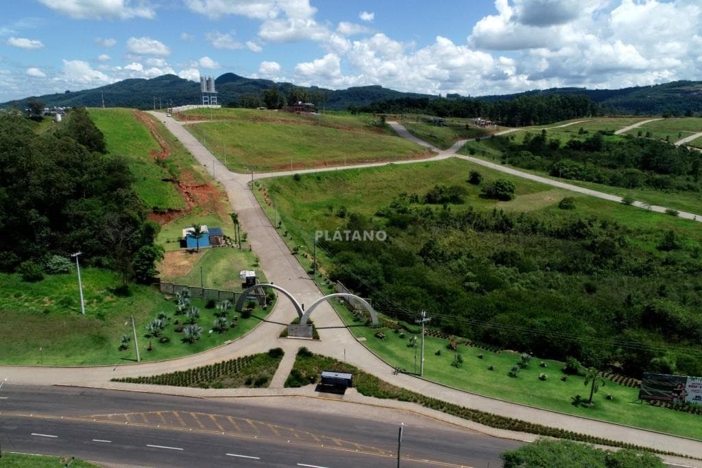 Próxima imagem