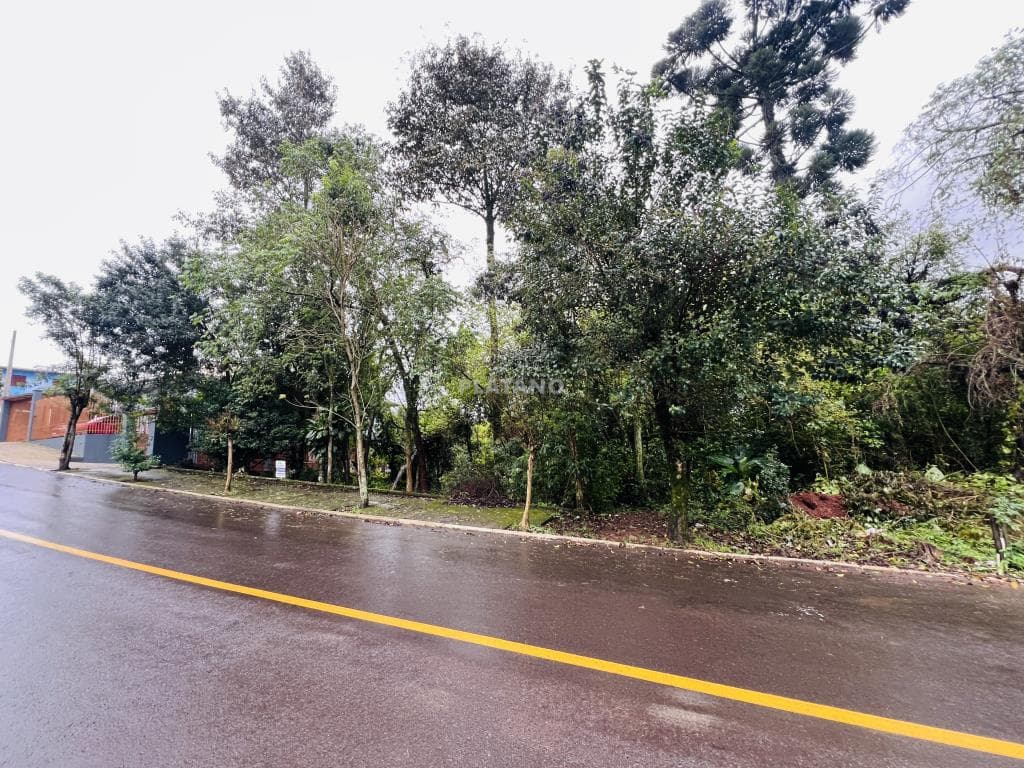 Imóvel no São José, Ivoti - Imagem 1