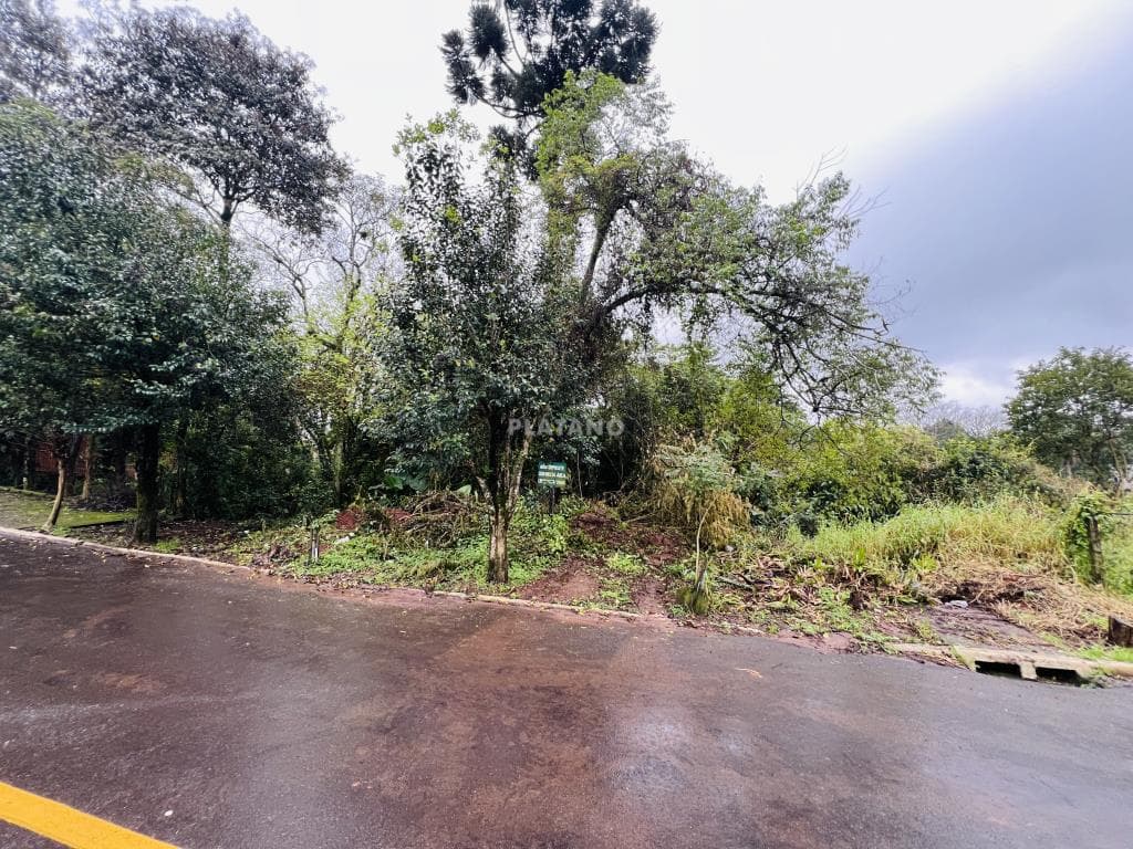 Imóvel no São José, Ivoti - Imagem 2