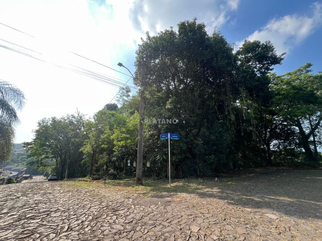 TERRENO, 3740M² ÁREA TOTAL para venda EM BOM JARDIM - foto 1