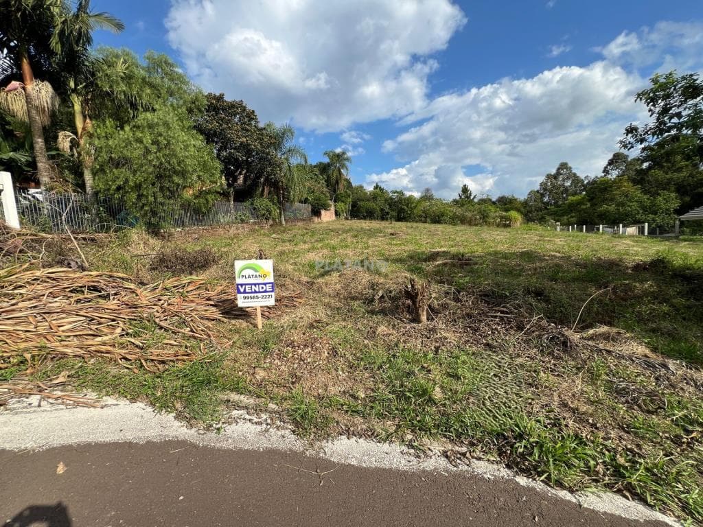 Imagem anterior