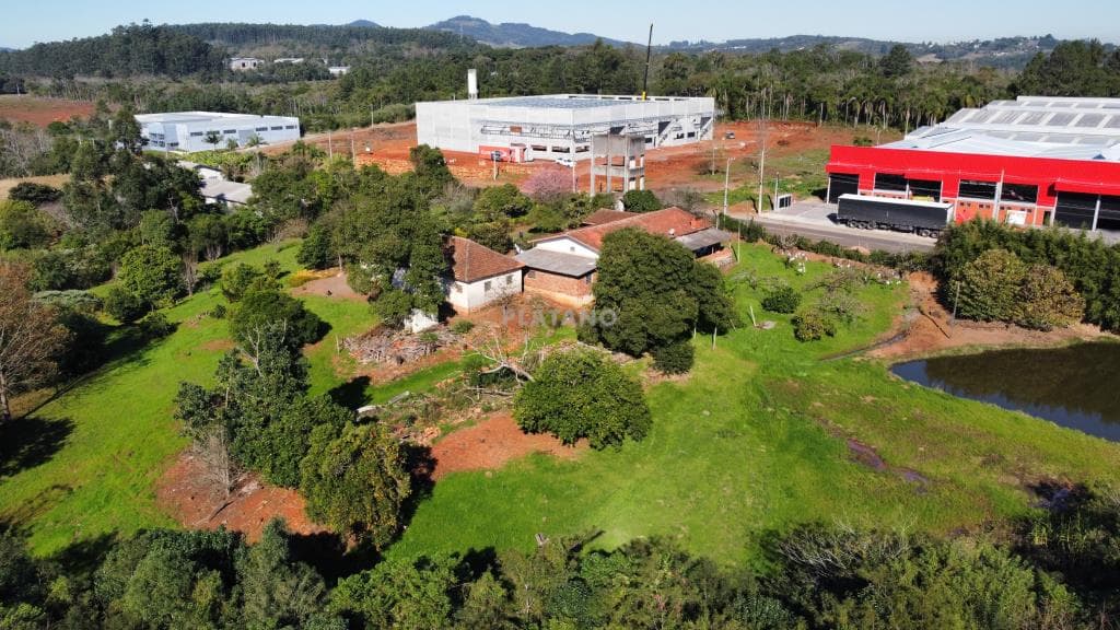 ÁREA DE TERRAS, 47652M² ÁREA TOTAL para venda EM PALMARES - foto 1
