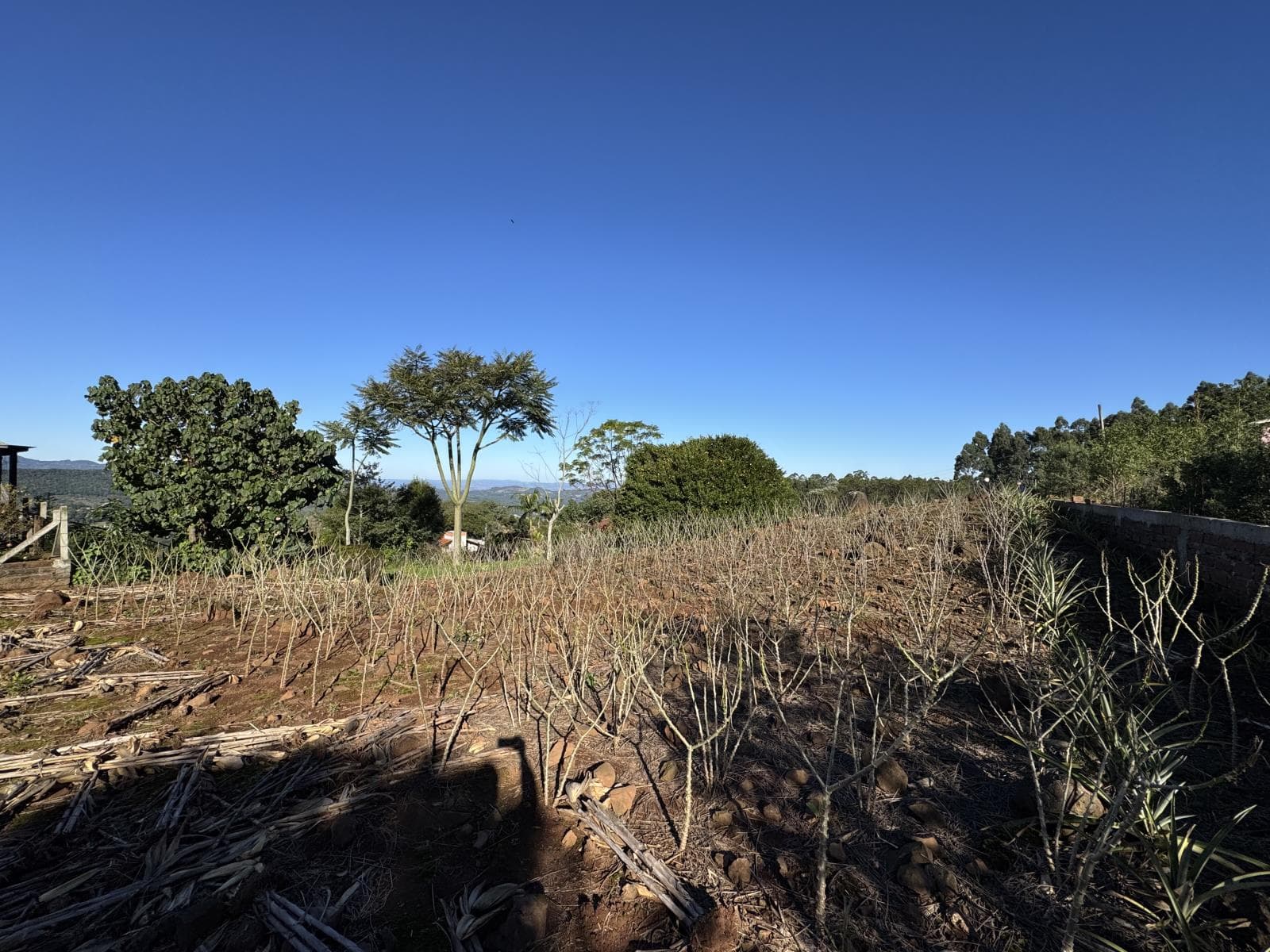 Imóvel no Planalto, Morro Reuter - Imagem 1