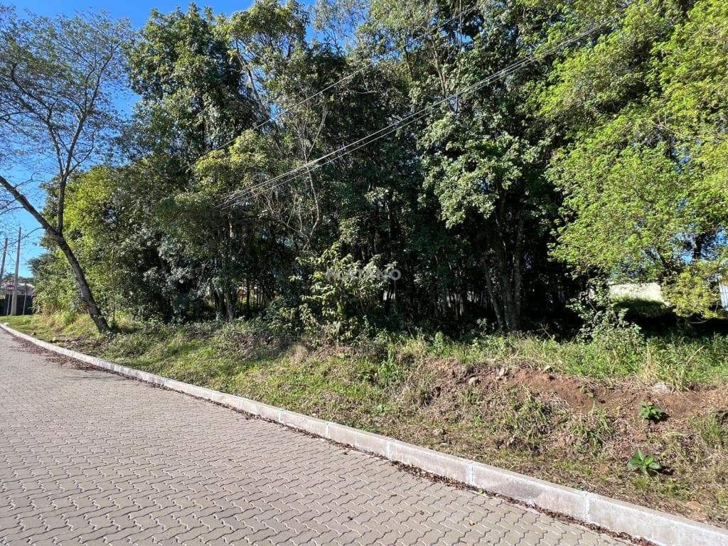 TERRENO, 479M² ÁREA TOTAL para venda EM CIDADE NOVA - foto 1