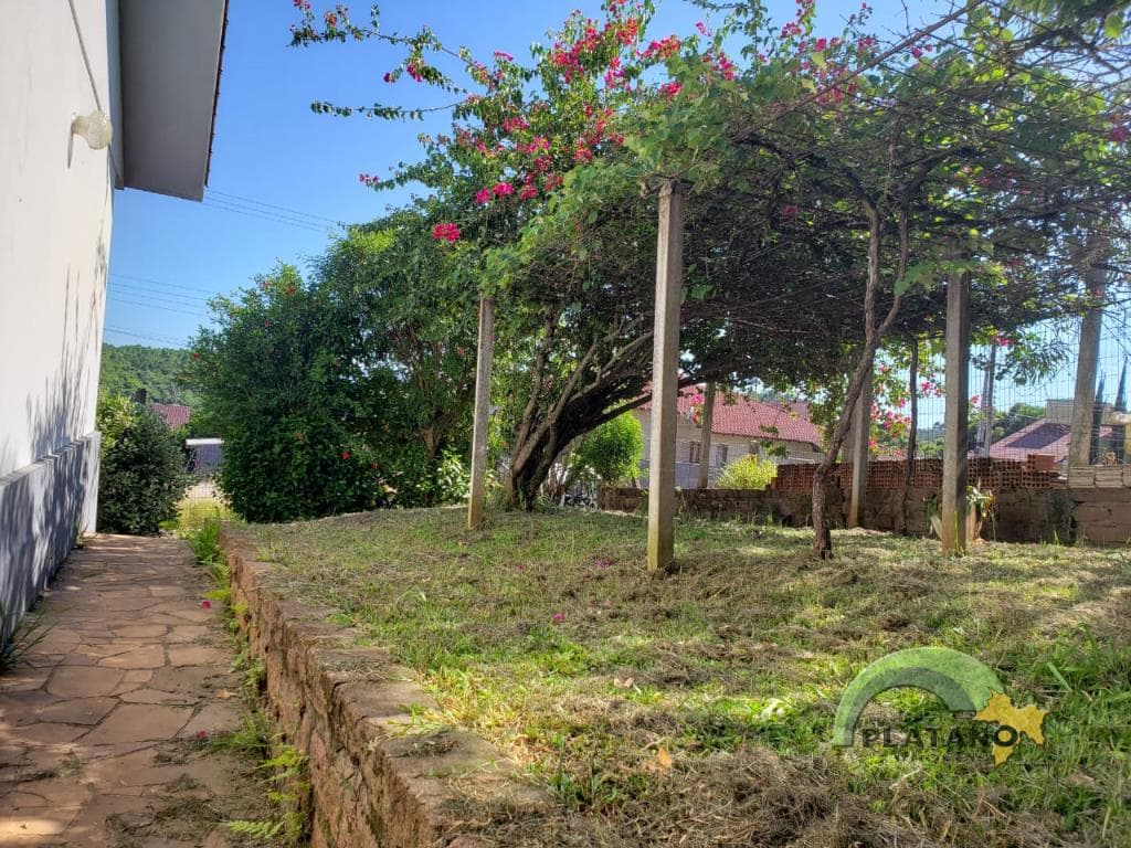 Próxima imagem