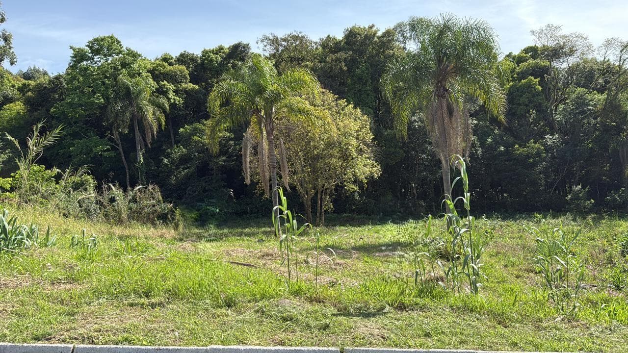 TERRENO, 438M² ÁREA TOTAL para venda EM JARDIM PANORÂMICO - foto 1