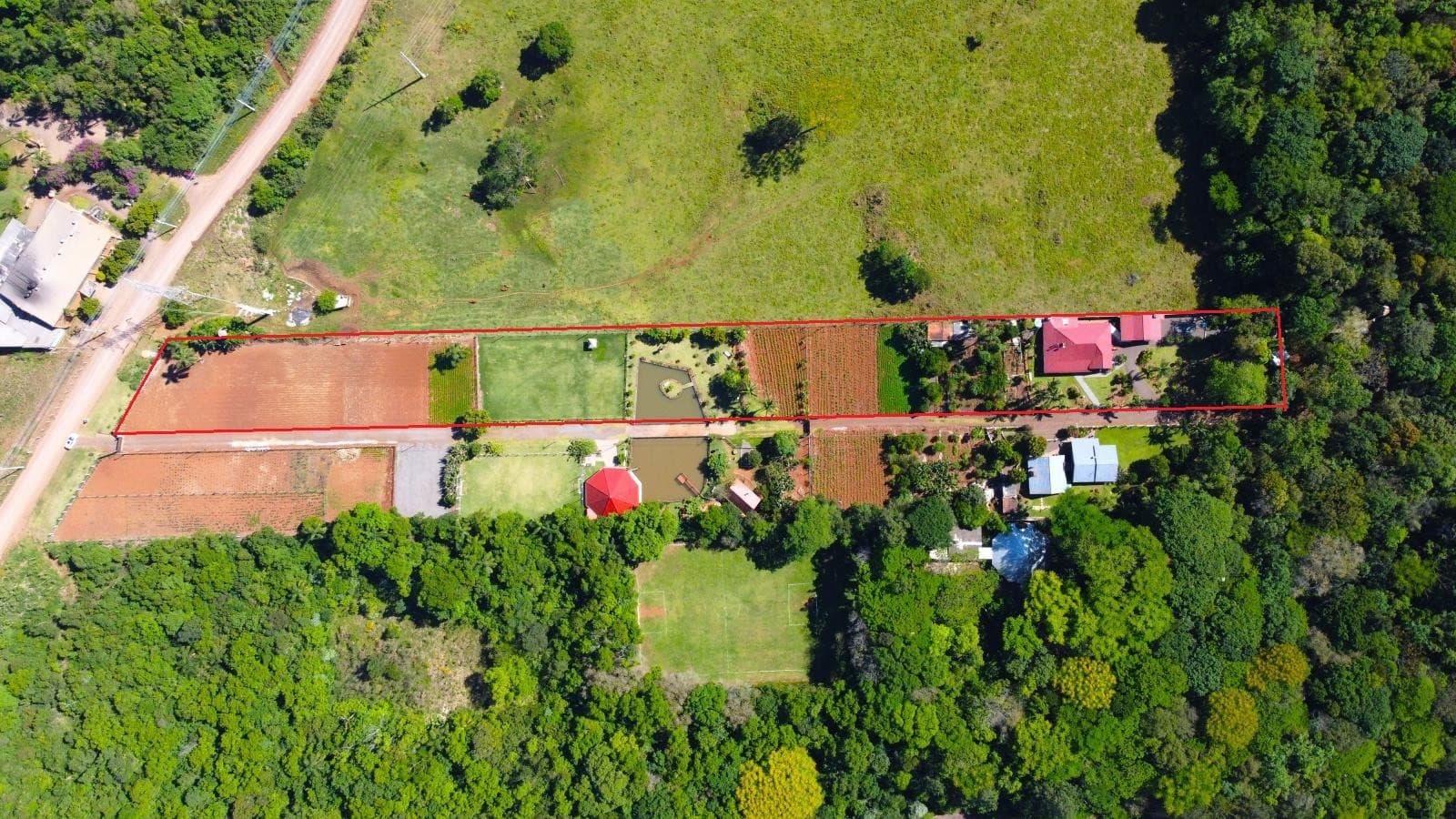 Imagem anterior
