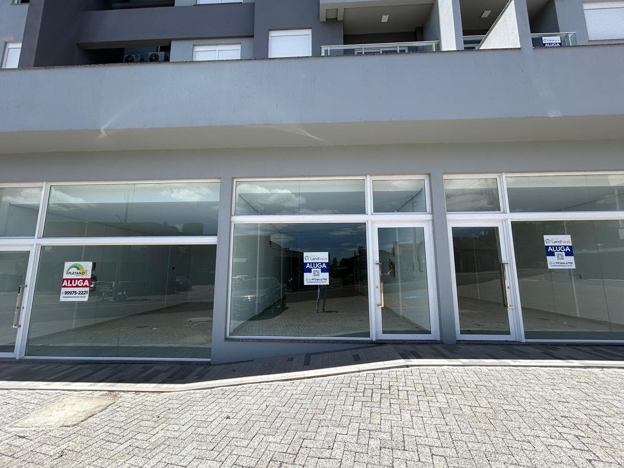Próxima imagem