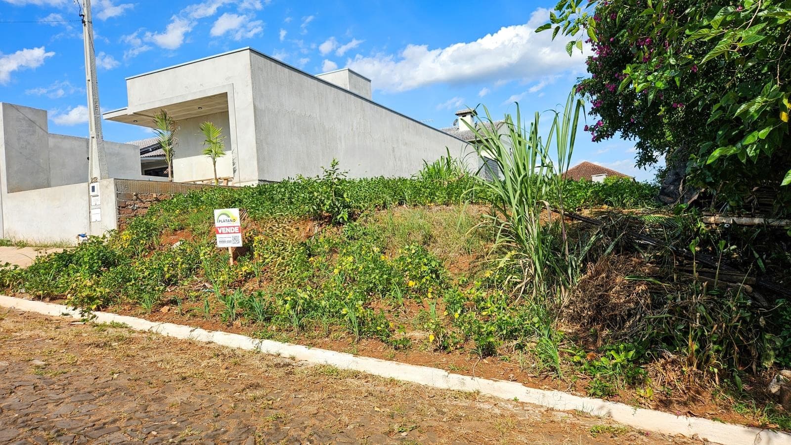 Imagem anterior