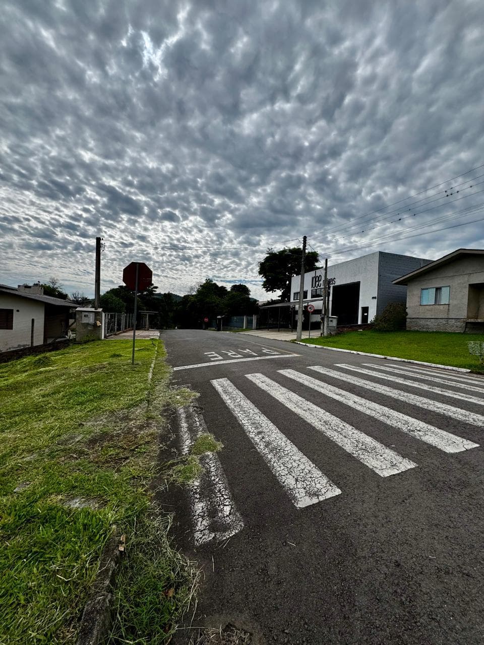 Próxima imagem