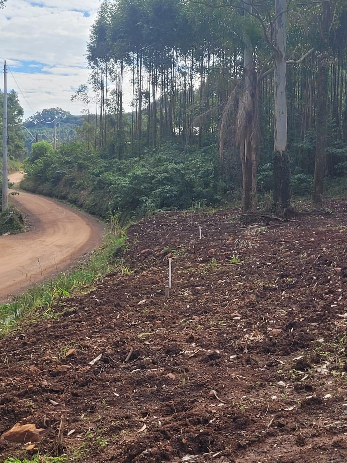 Terreno para Venda no Recanto das Chácaras em Morro Reuter - Imagem 1