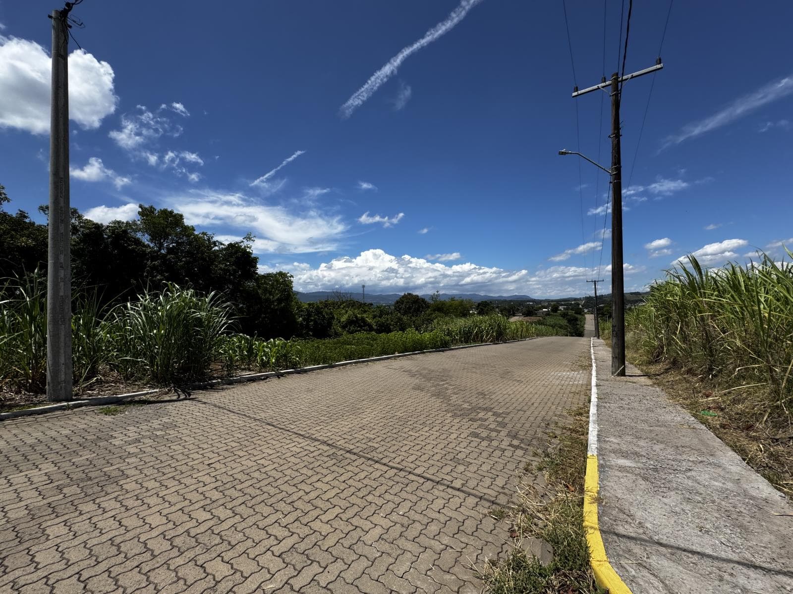 Próxima imagem