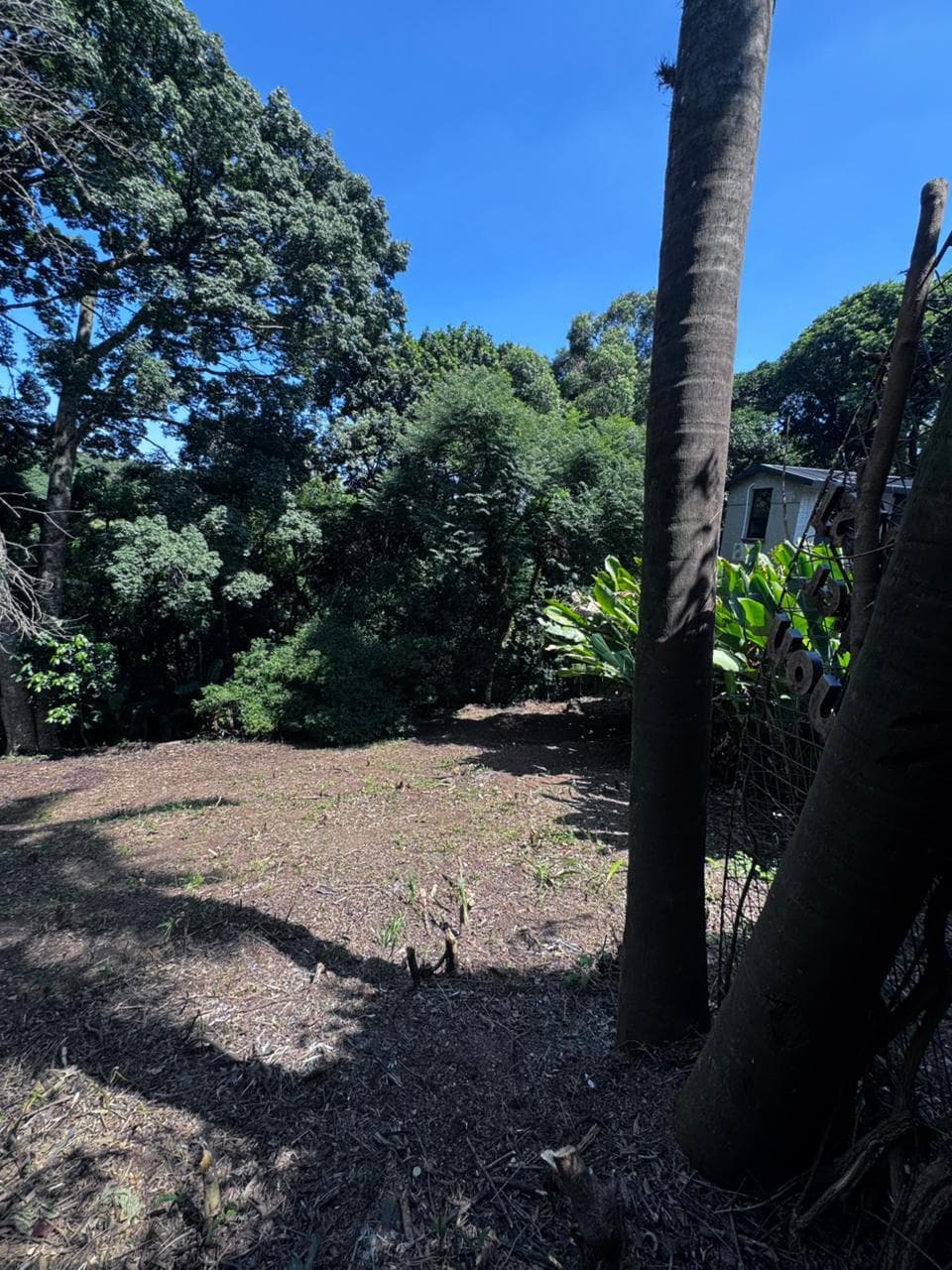 Terreno para Venda no Travessão em Dois Irmãos - Imagem 2