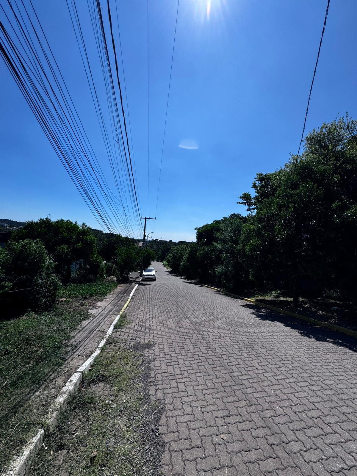 Imagem anterior