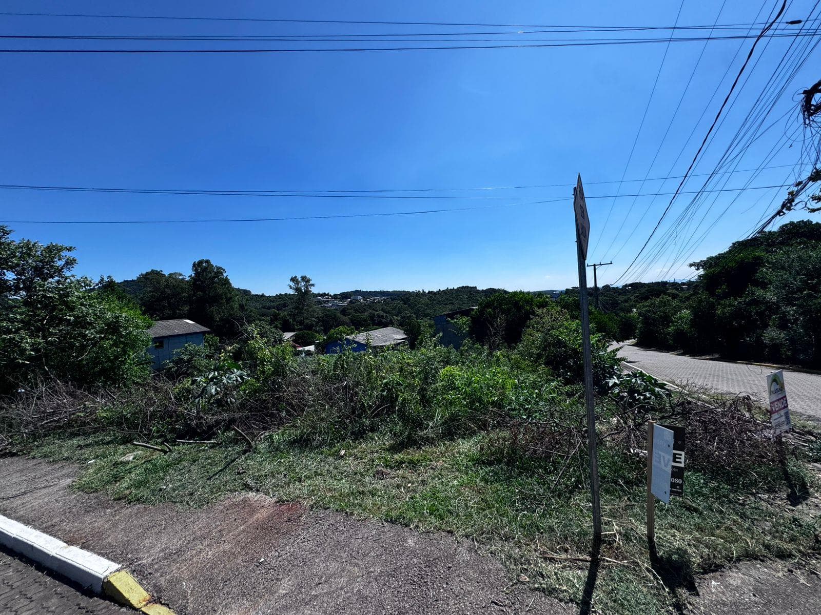 Próxima imagem