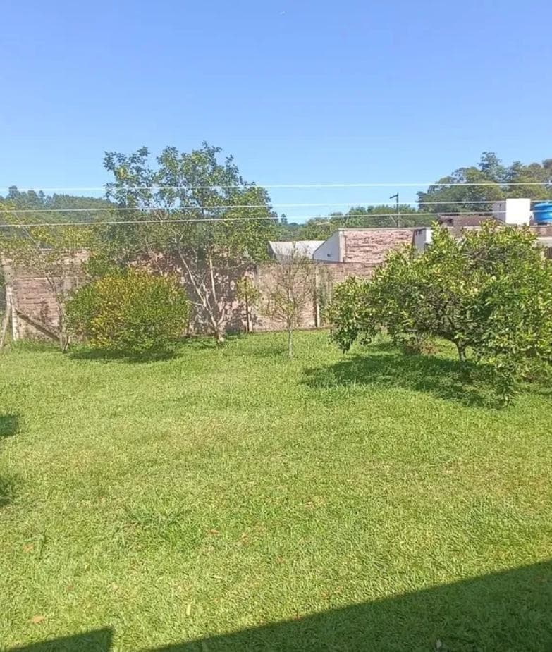 Próxima imagem