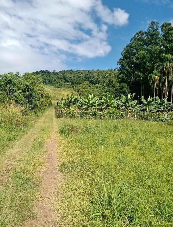 Chácara / Sítio para Venda no Centro em São José do Hortêncio - Imagem 3