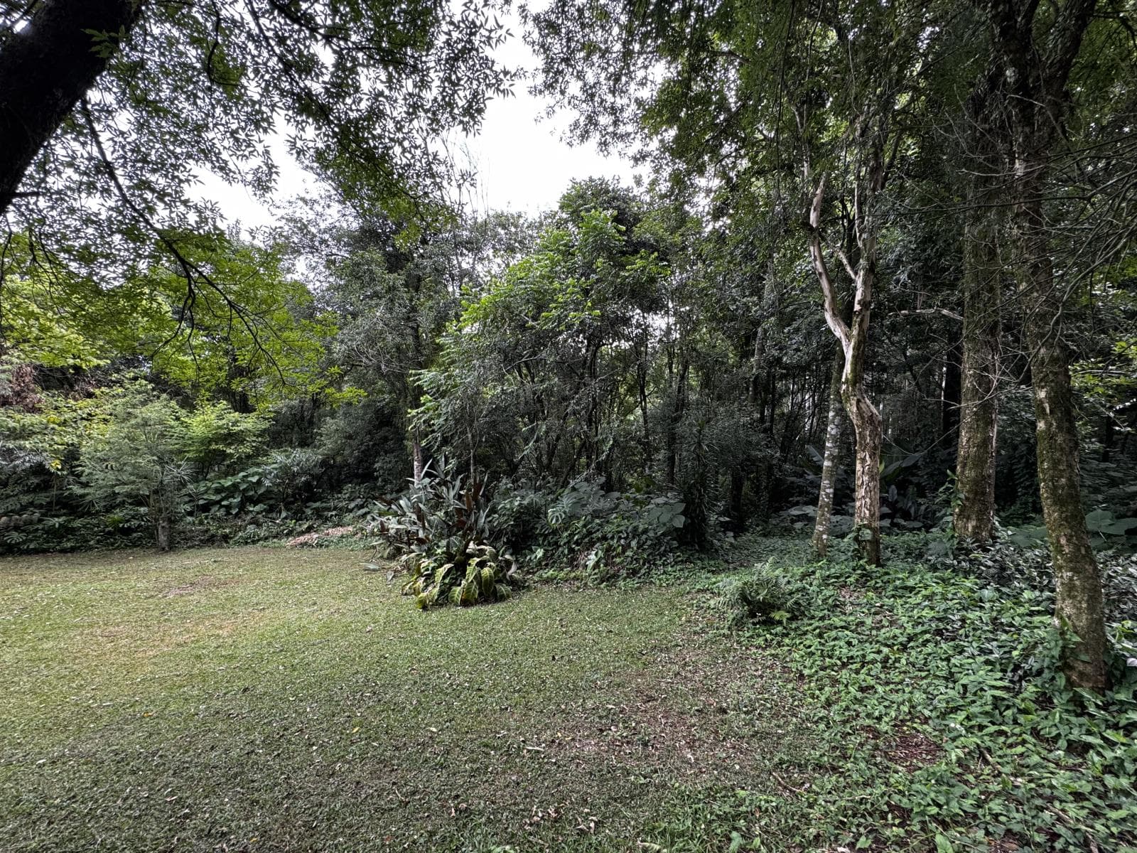 Próxima imagem