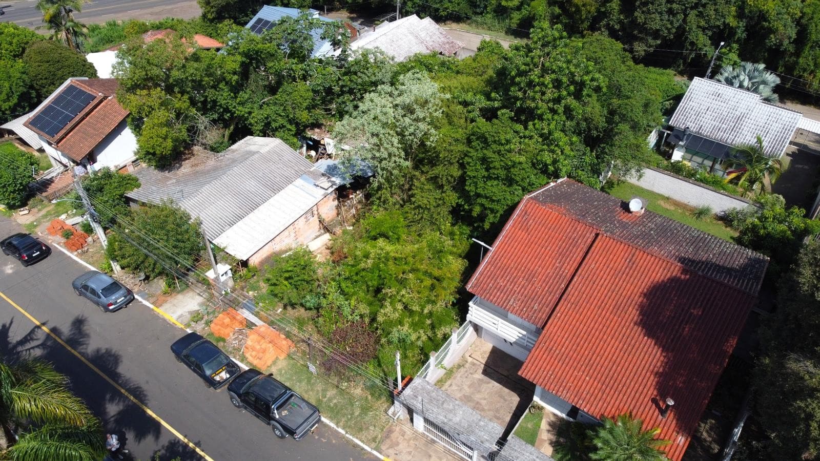 Próxima imagem