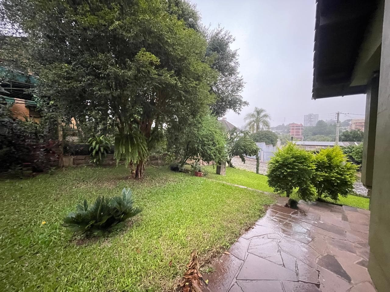 Próxima imagem