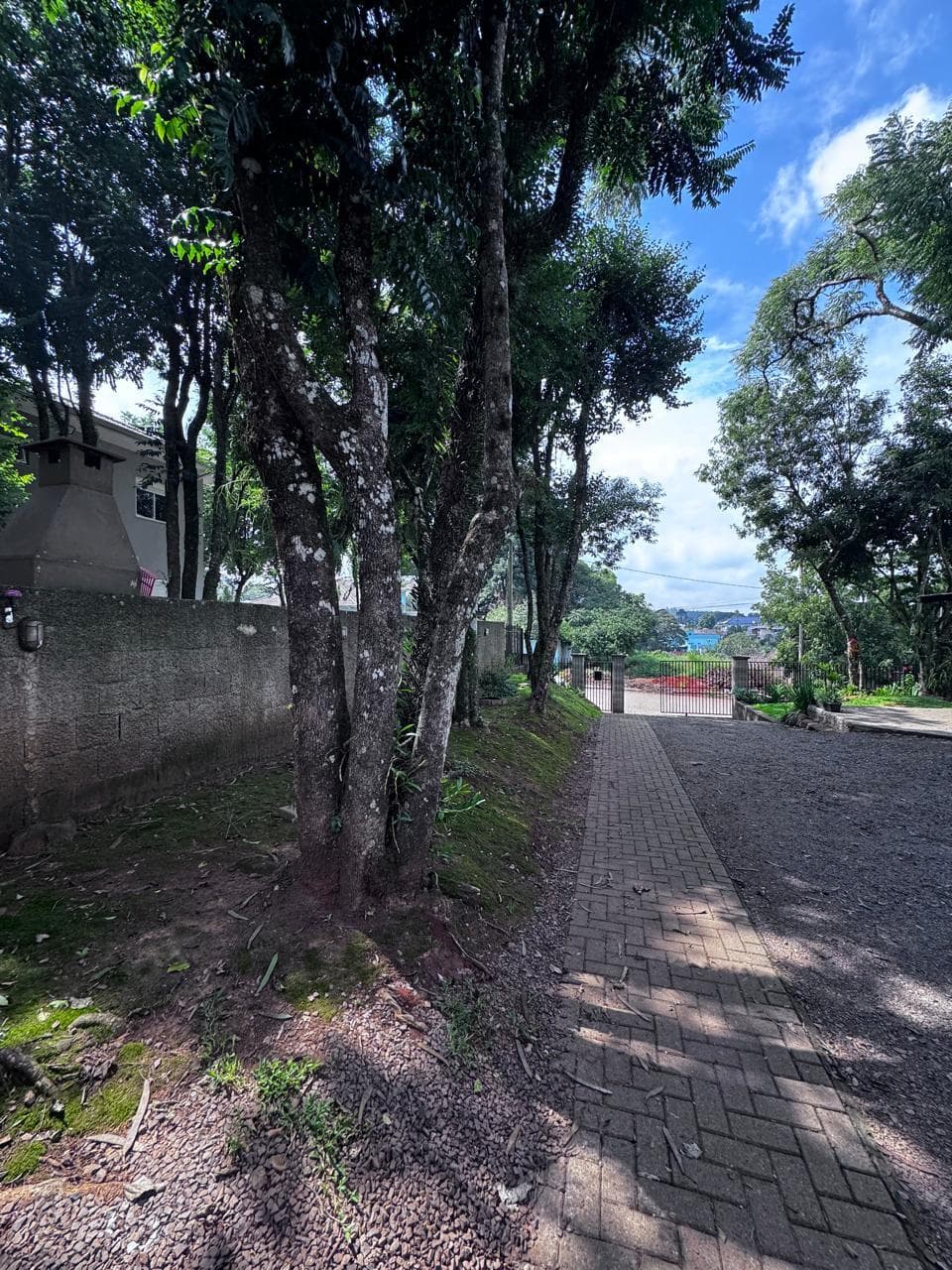 Próxima imagem