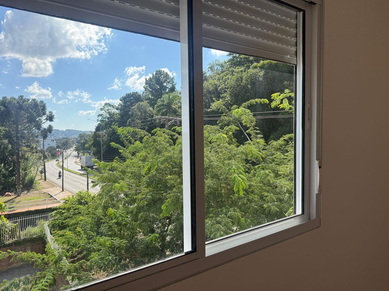 Próxima imagem