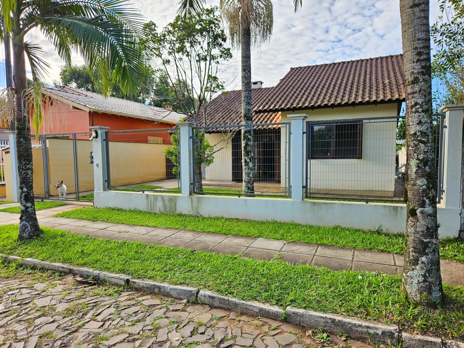 Imagem anterior