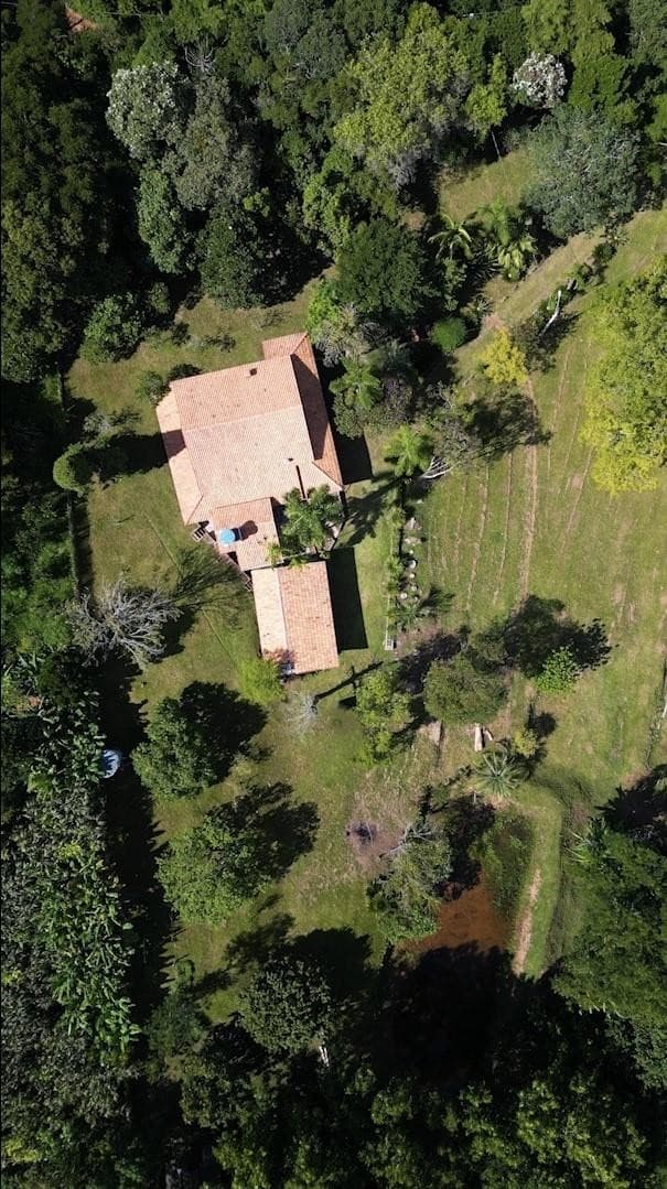 Imagem anterior