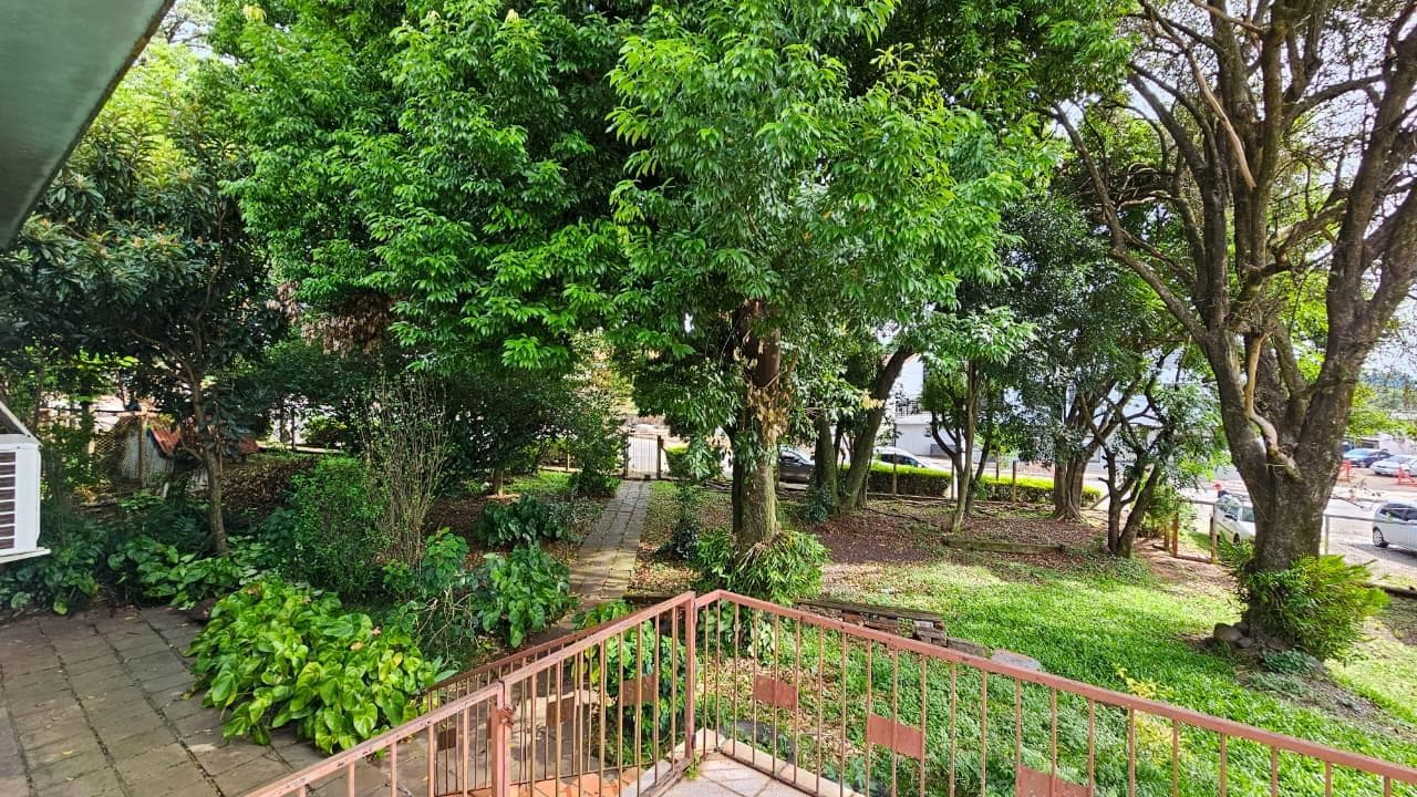 Próxima imagem
