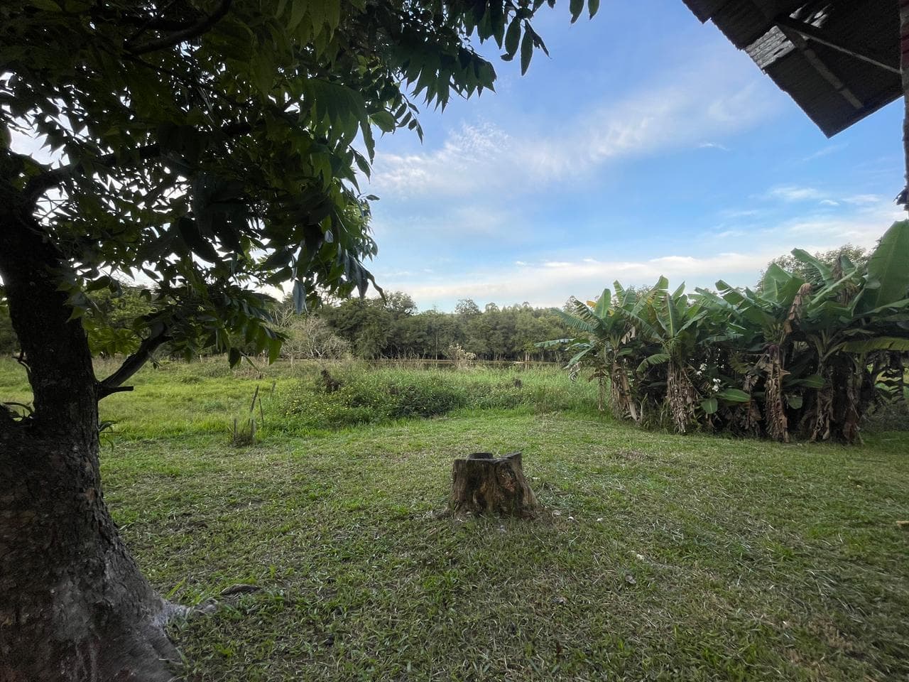Imagem anterior