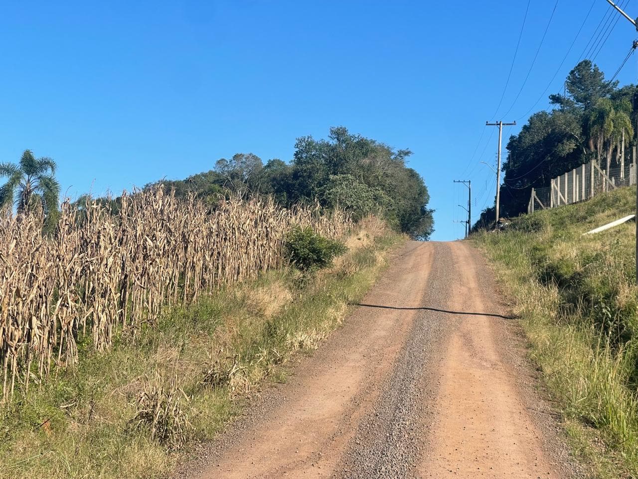 Área de Terras para Venda no Palmares em Ivoti - Imagem 2
