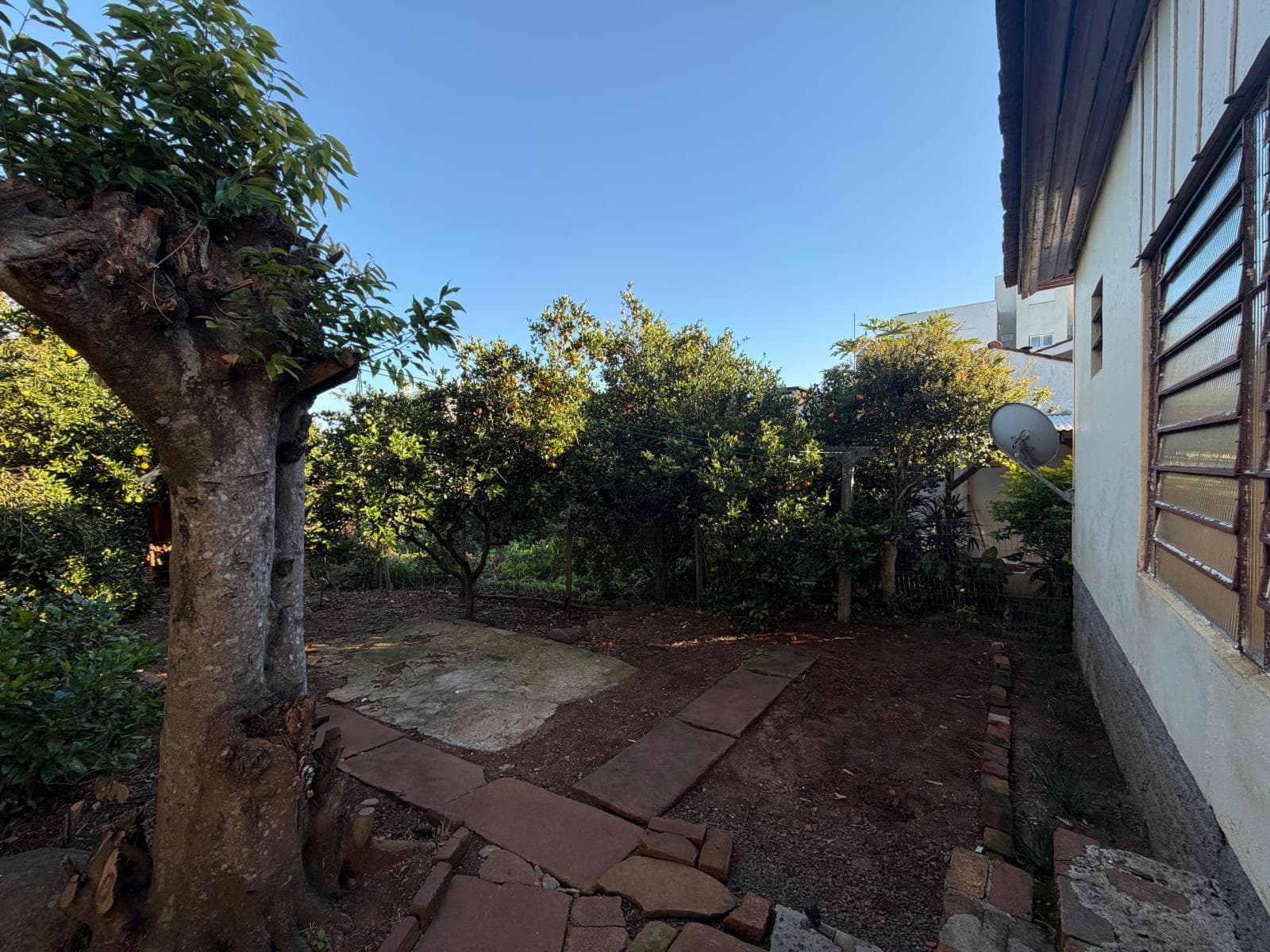 Imagem anterior